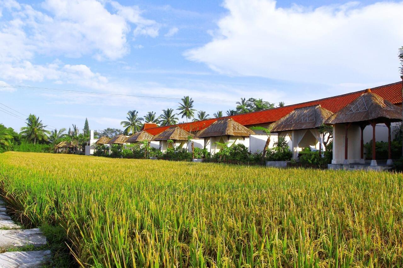 Alam Puisi Villa Ubud Exteriör bild